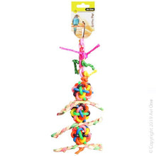 Avi One Bird Toy TPR Balls with Bells & Corrugated Board 26cm - Woonona Petfood & Produce