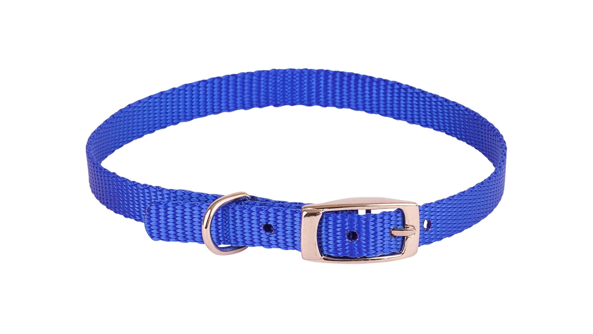 Beau Pets Collar Single Layer Blue - Woonona Petfood & Produce