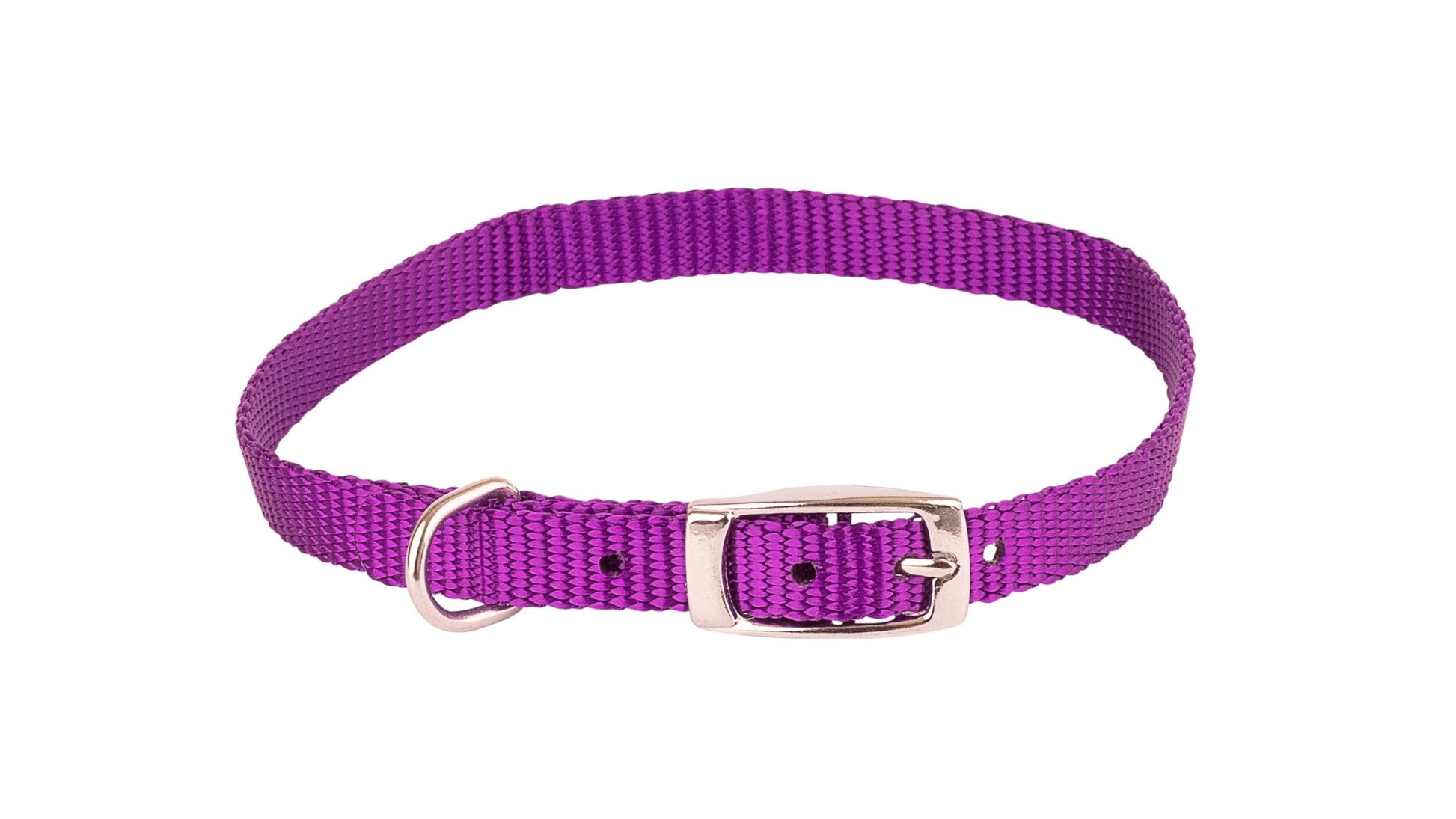 Beau Pets Collar Single Layer Purple - Woonona Petfood & Produce