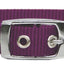 Beau Pets Collar Single Layer Purple - Woonona Petfood & Produce