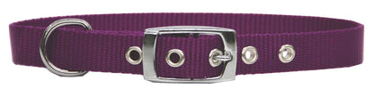 Beau Pets Collar Single Layer Purple - Woonona Petfood & Produce