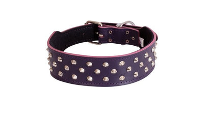 Beau Pets Collar Staffy Stud Black - Woonona Petfood & Produce