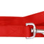 Beau Pets Lead Neoprene 25mm x 180cm - Woonona Petfood & Produce