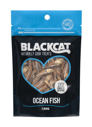 Training Cat Treats image