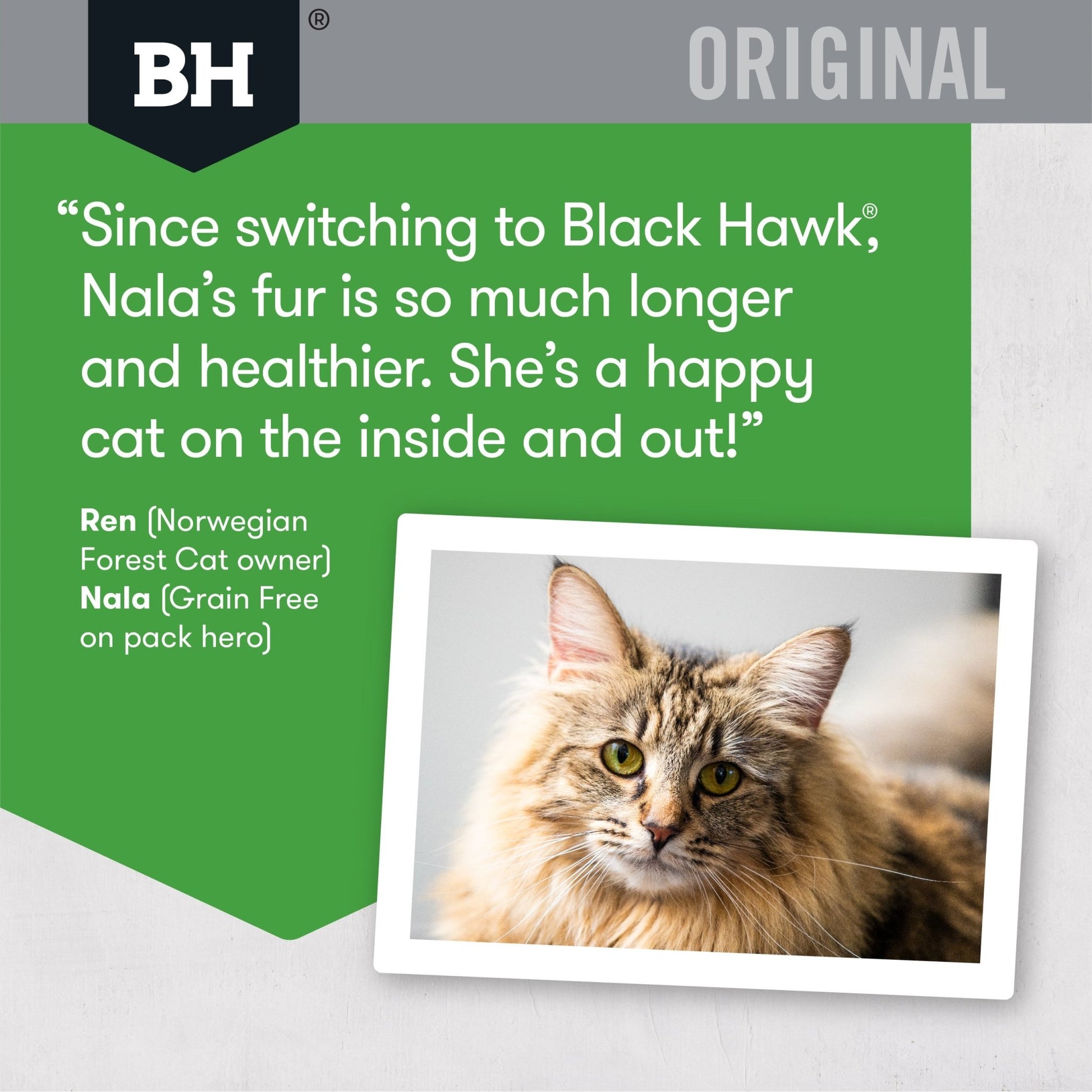 Black Hawk Dry Cat Food Adult Chicken & Rice - Woonona Petfood & Produce