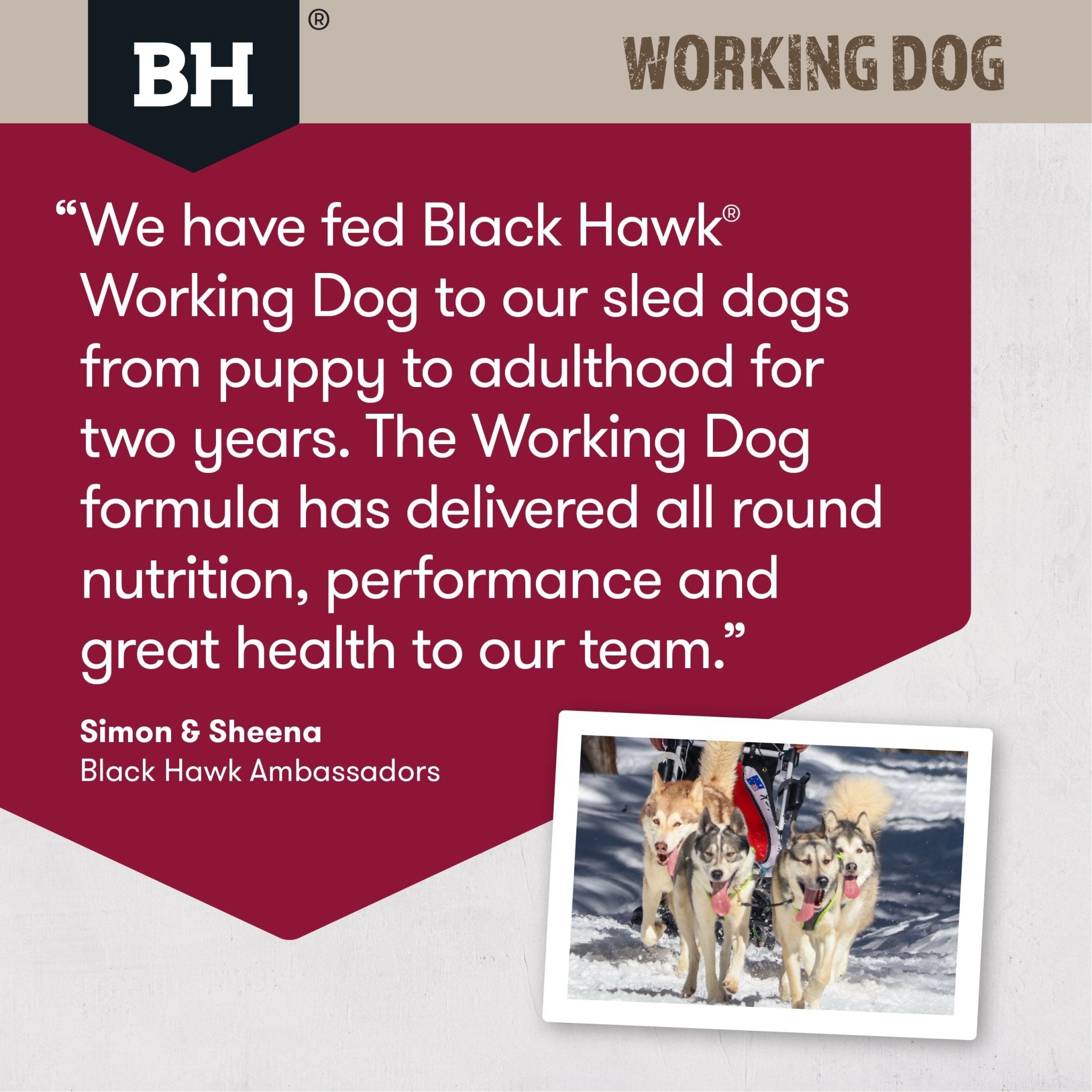 Blackhawk 20kg dog outlet food