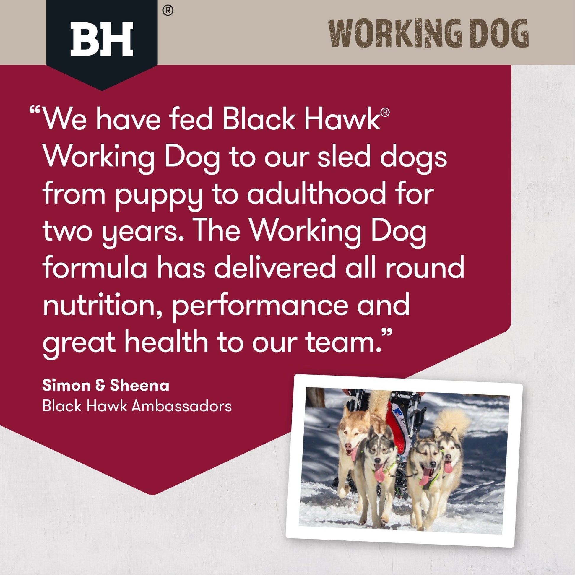 Black Hawk Dry Dog Food Adult Working Dry Dog Food Beef & Lamb 20kg - Woonona Petfood & Produce