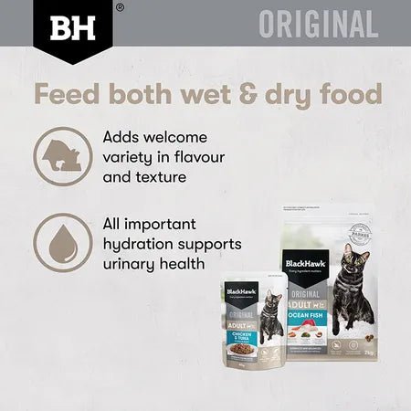 Black Hawk Wet Cat Food Adult Chicken and Tuna with Gravy 12x85g - Woonona Petfood & Produce