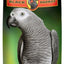 Black Parrot Adult 15% - Woonona Petfood & Produce