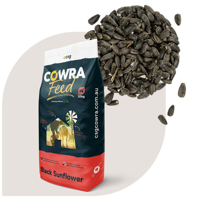 Black Sunflower per - Woonona Petfood & Produce