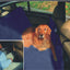 Bono Fido Backseat Hammock Blue - Woonona Petfood & Produce