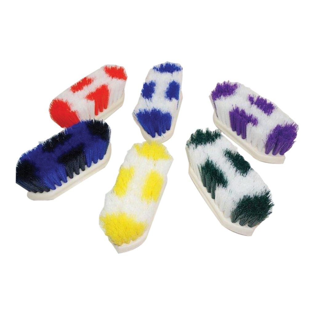 Brush Dandy Two Tonned With Motif Assorted - Woonona Petfood & Produce