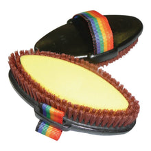 Brush Sponge Plastic Back - Woonona Petfood & Produce