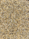 Bird Seeds
