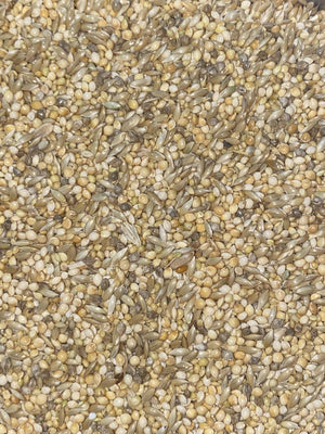 Bird Seeds image