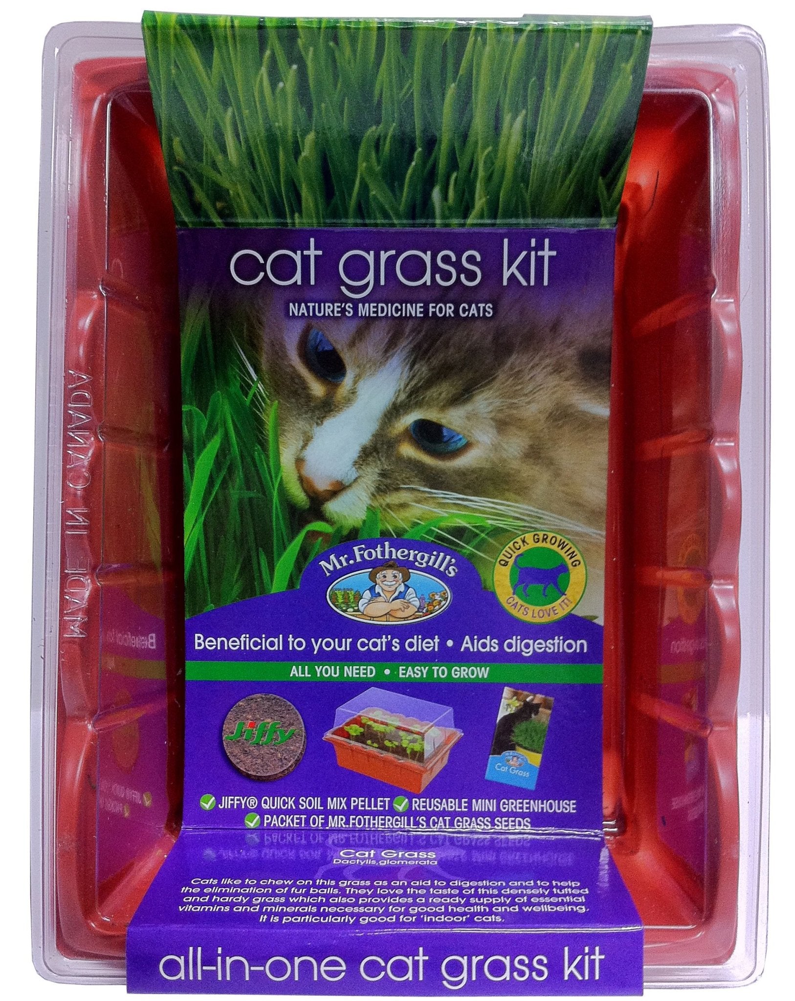 Cat Grass Sprouting - Woonona Petfood & Produce