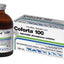 Coforta 100 Injectable - Woonona Petfood & Produce