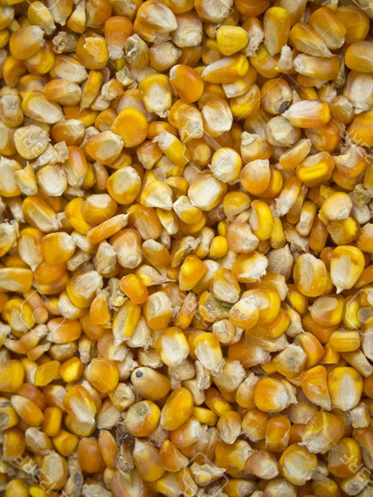 Corn Whole - Woonona Petfood & Produce