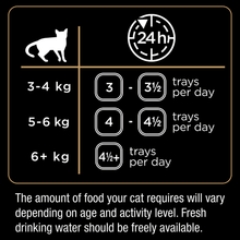 Dine 85g Turkey In Gravy - Woonona Petfood & Produce