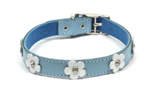 Dogue Collar Foxy Blue - Woonona Petfood & Produce