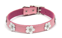 Dogue Collar Foxy Pink - Woonona Petfood & Produce