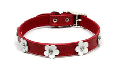 Dogue Collar Foxy Red - Woonona Petfood & Produce