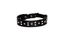 Dogue Collar Stud Muffin Black - Woonona Petfood & Produce