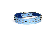 Dogue Collar Stud Muffin Blue - Woonona Petfood & Produce