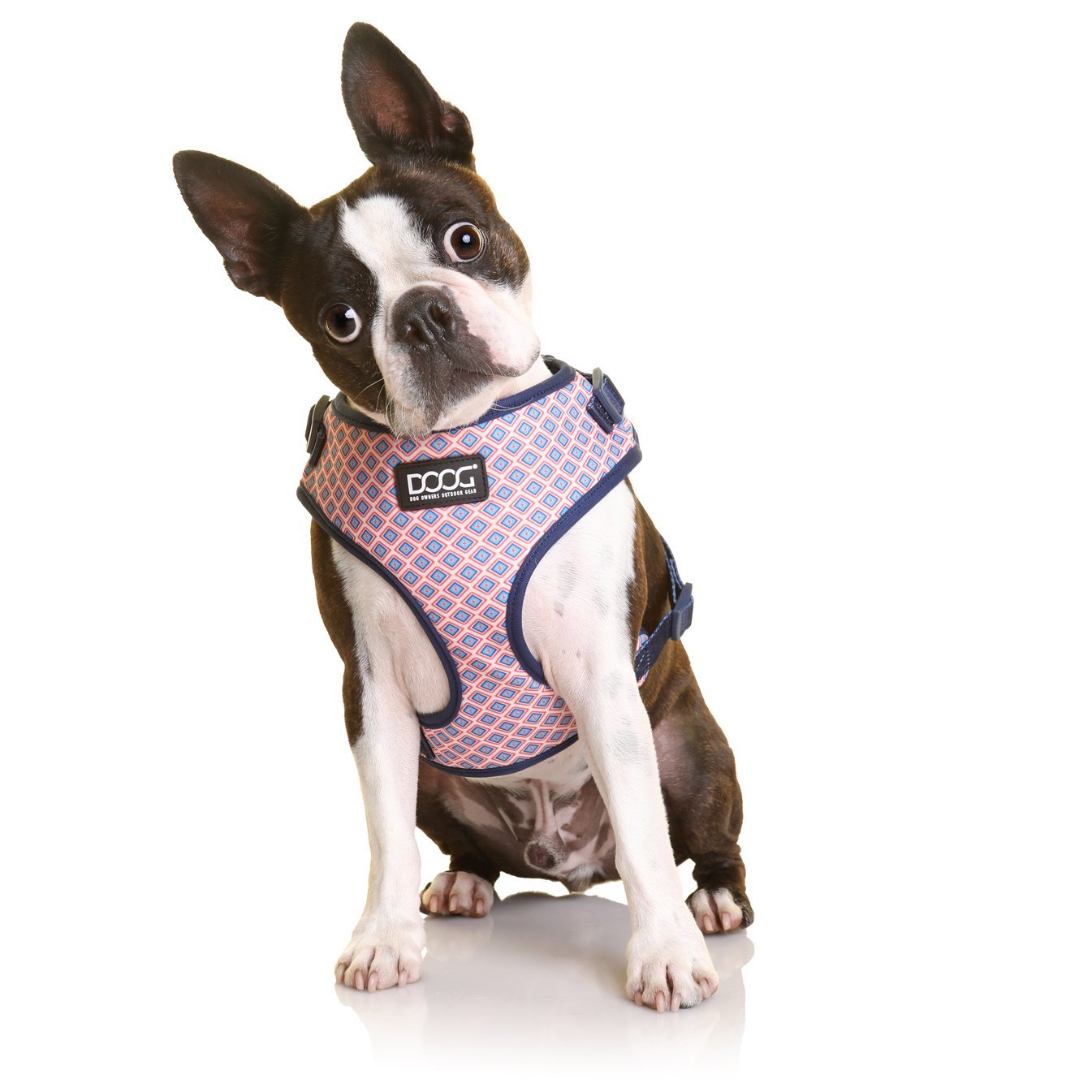 Doog Neoflex Dog Harness Gromit - Woonona Petfood & Produce