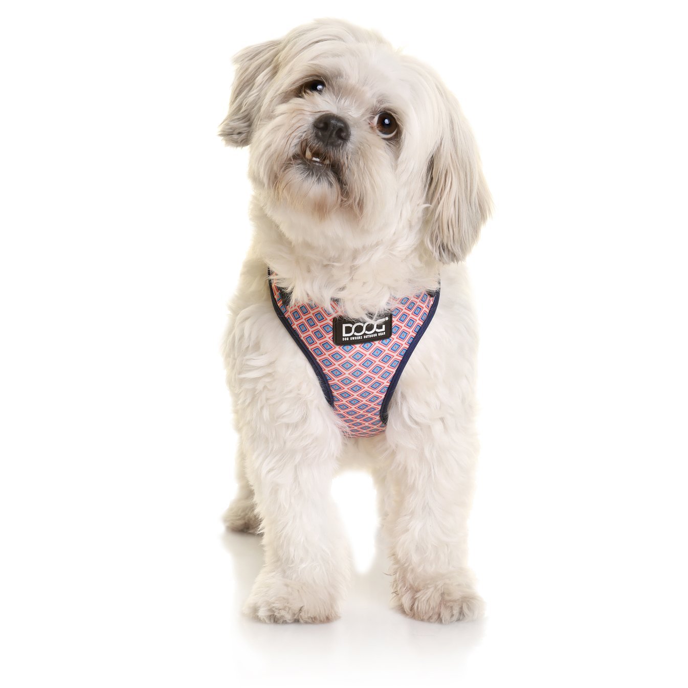 Doog Neoflex Dog Harness Gromit - Woonona Petfood & Produce