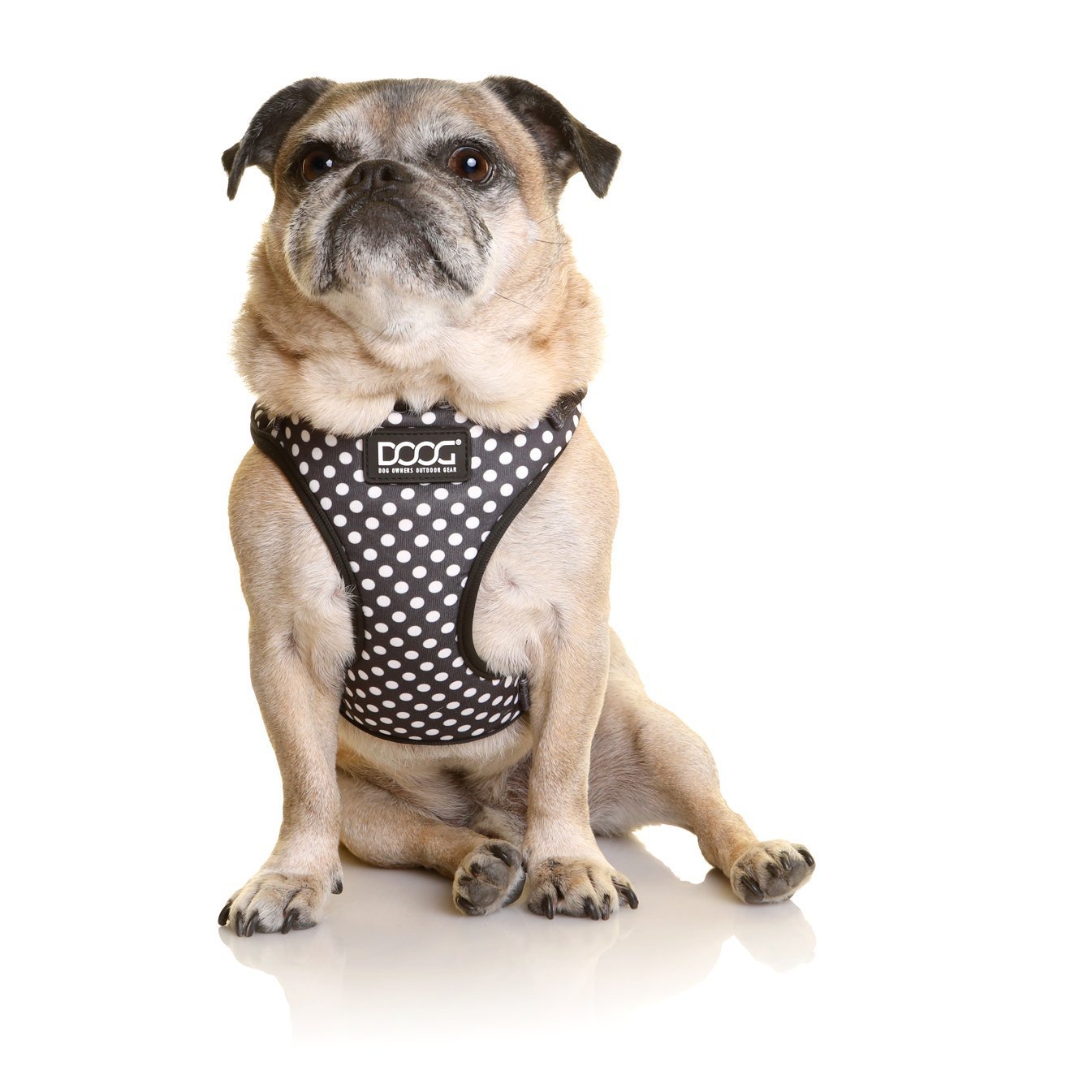 Doog Neoflex Dog Harness Pongo Extra Small - Woonona Petfood & Produce