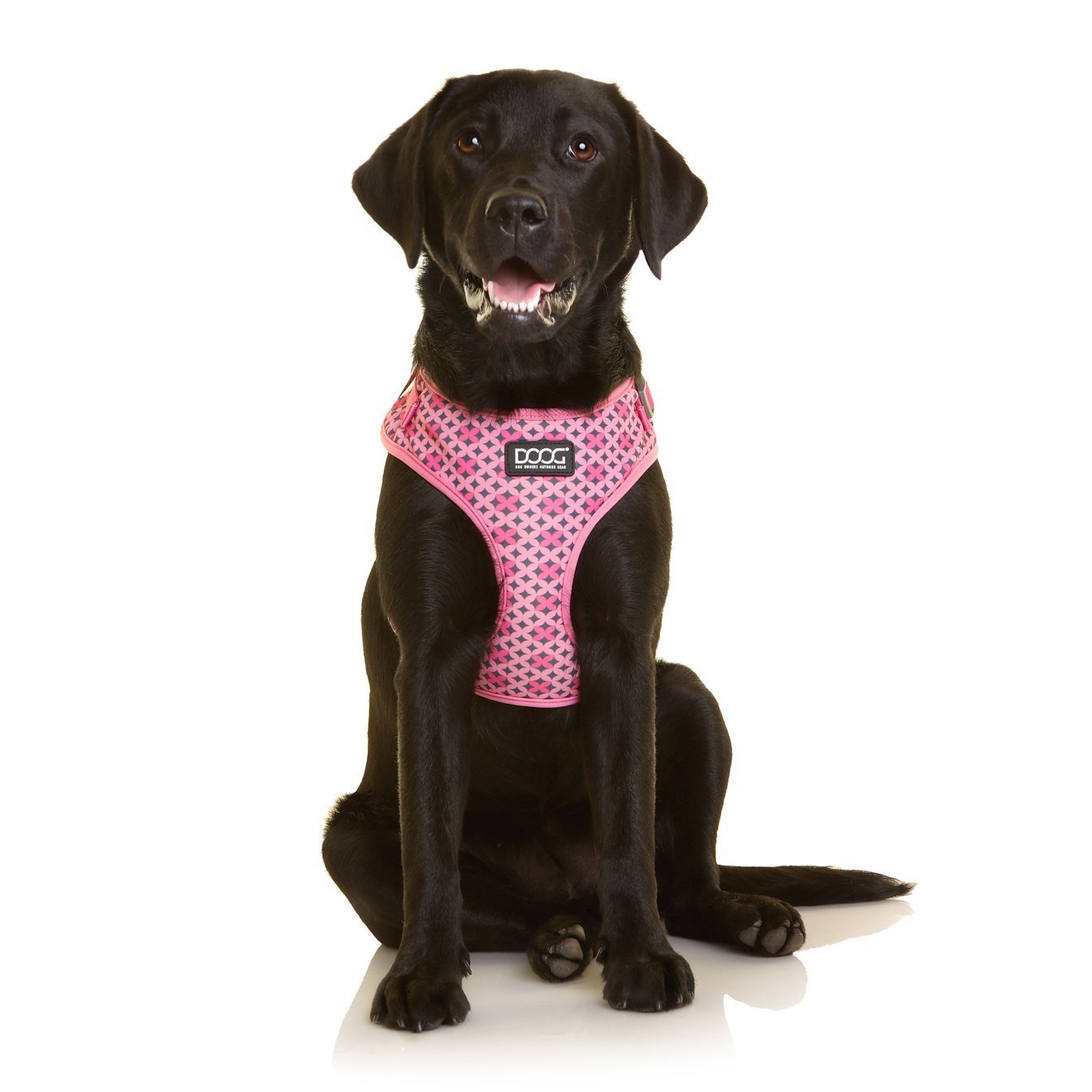 Doog Neoflex Dog Harness Toto - Woonona Petfood & Produce