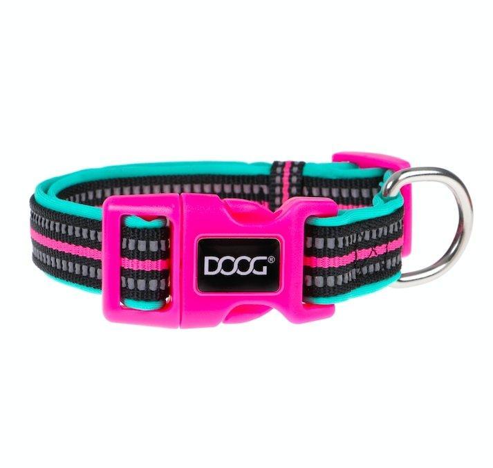 Doog Neoprene Collar Rin Tin Tin Neon - Woonona Petfood & Produce