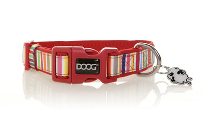Doog Scooby Collar Candy Striped - Woonona Petfood & Produce