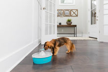 Drinkwell Butterfly Pet Fountain - Woonona Petfood & Produce