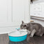 Drinkwell Butterfly Pet Fountain - Woonona Petfood & Produce