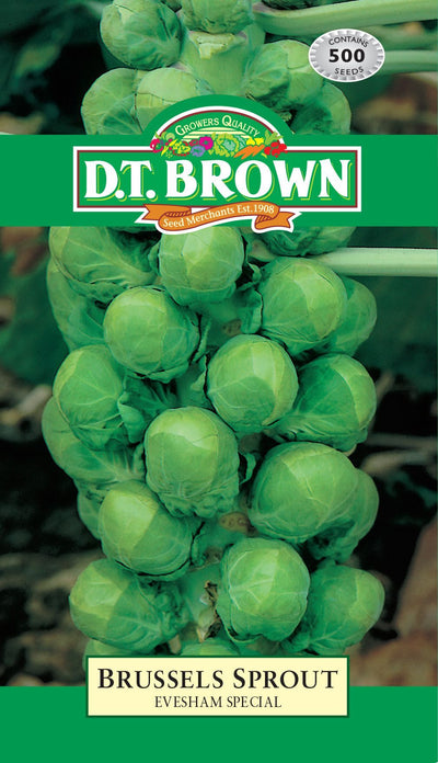 DT Brown Brussels Sprout Evesham - Woonona Petfood & Produce