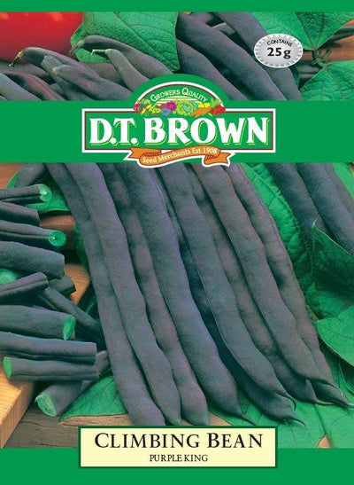 DT Brown Climbing Bean Purple King - Woonona Petfood & Produce