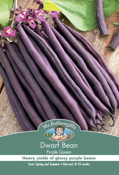 DT Brown Dwarf Bean Purple Queen - Woonona Petfood & Produce