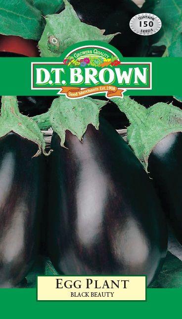 DT Brown Egg Plant Black Beauty - Woonona Petfood & Produce
