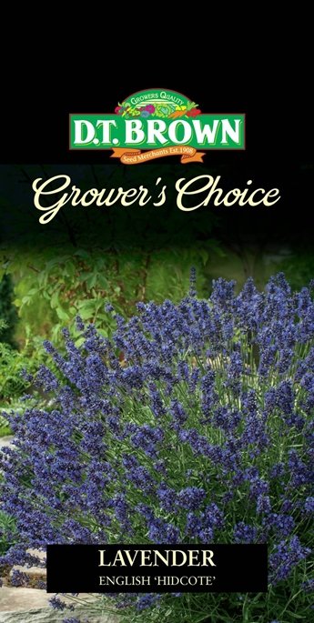 DT Brown Growers Choice Lavender English Hidcote - Woonona Petfood & Produce