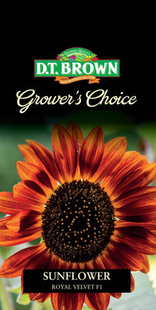DT Brown Growers Choice Sunflower Royal Velvet - Woonona Petfood & Produce