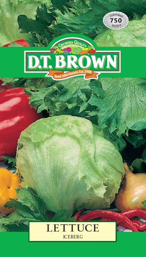 DT Brown Lettuce Iceberg - Woonona Petfood & Produce