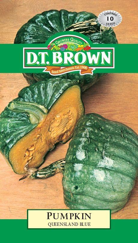 DT Brown Pumpkin Queensland Blue - Woonona Petfood & Produce