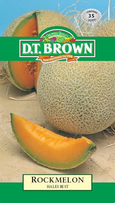 DT Brown Rockmelon Hales Best - Woonona Petfood & Produce