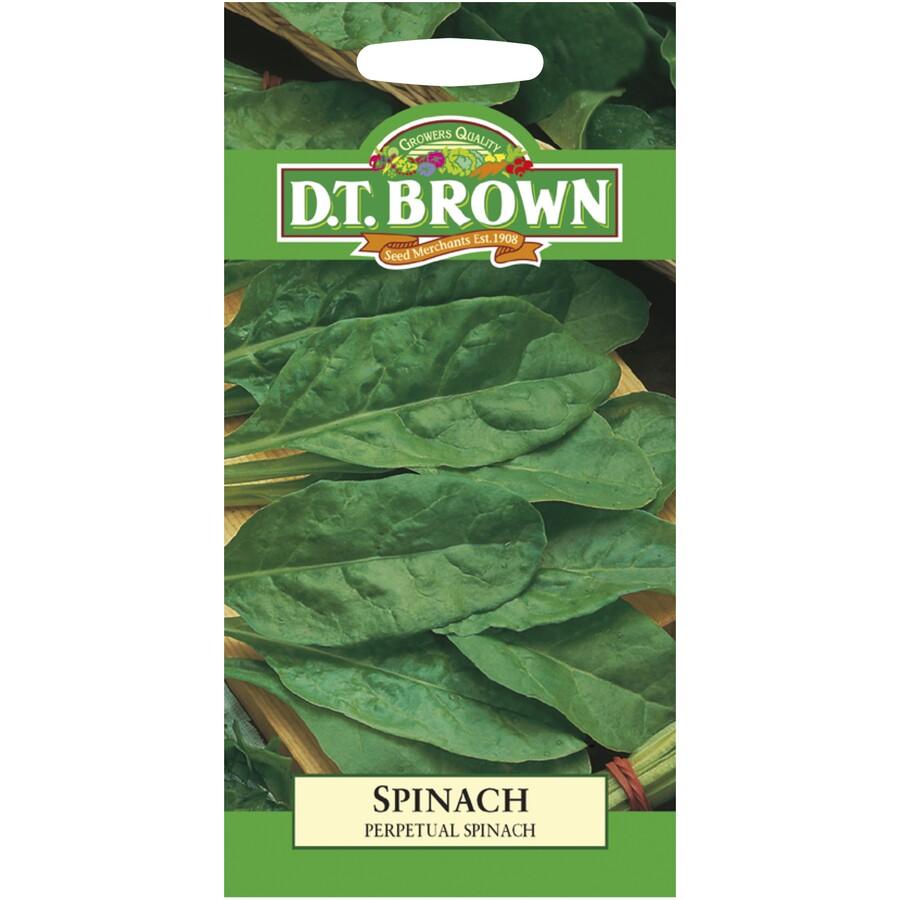 DT Brown Spinach Beet Perpetual - Woonona Petfood & Produce