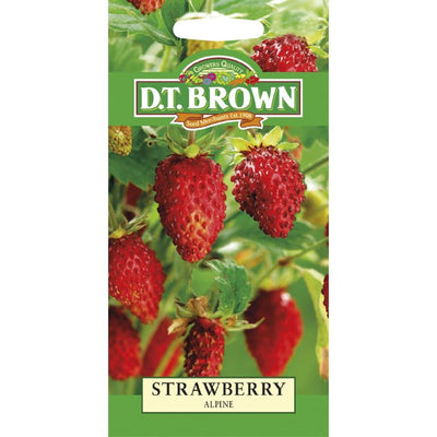 DT Brown Strawberry Alphine (Regina) - Woonona Petfood & Produce