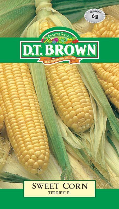 DT Brown Sweet Corn Terrific - Woonona Petfood & Produce