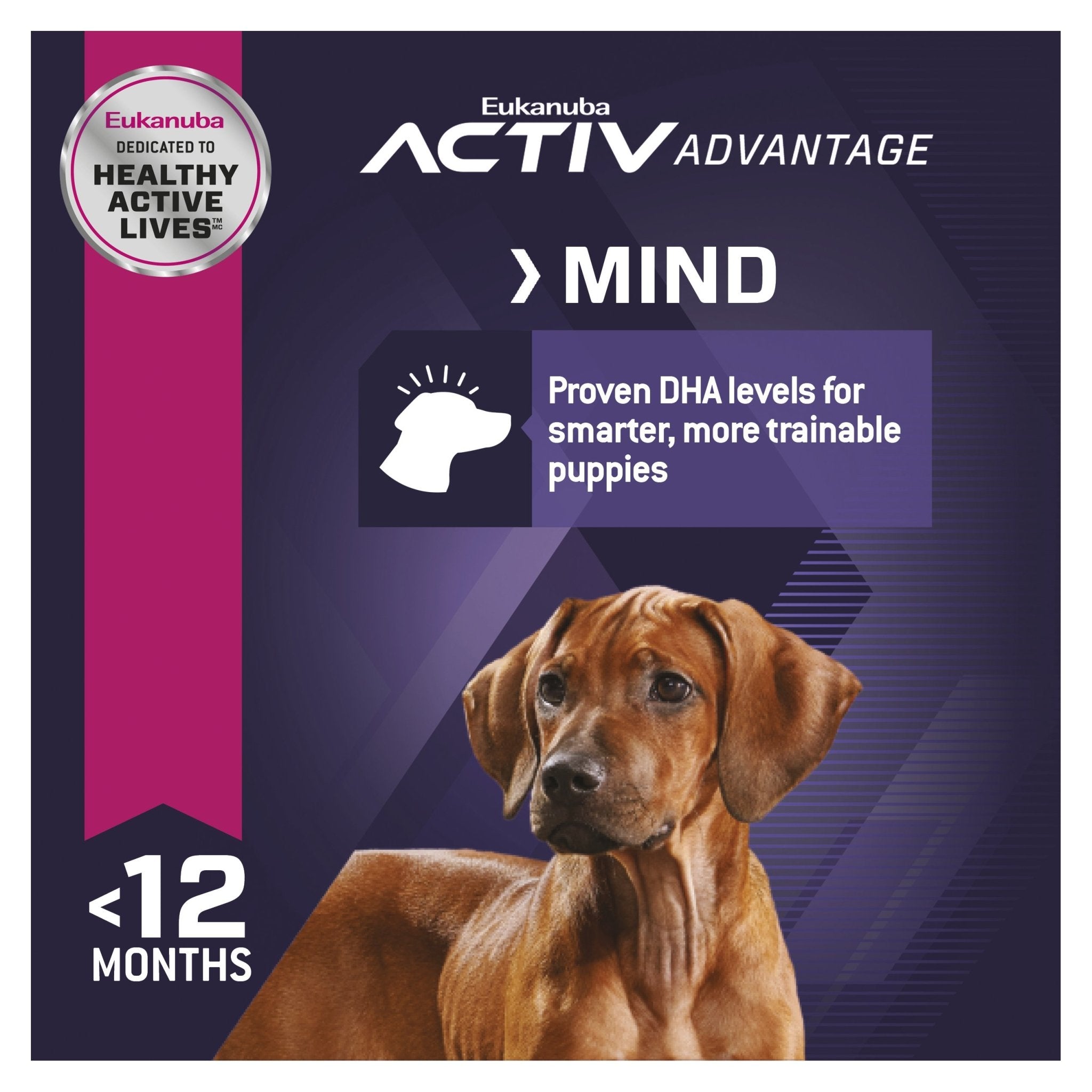 Eukanuba active large breed best sale