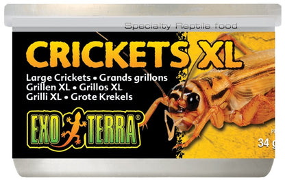 Exo Terra Canned Crickets Small - Woonona Petfood & Produce